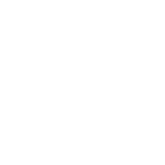 NewBostonSci